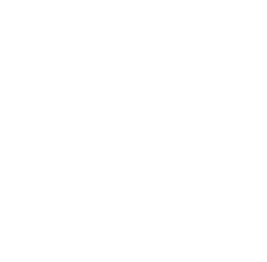 castle logo
